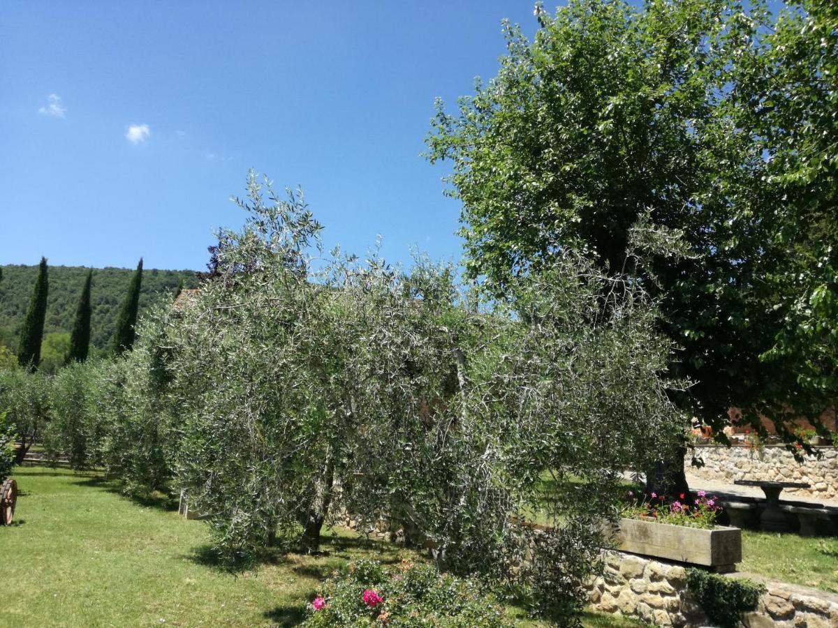 Borgo Di Barigianino